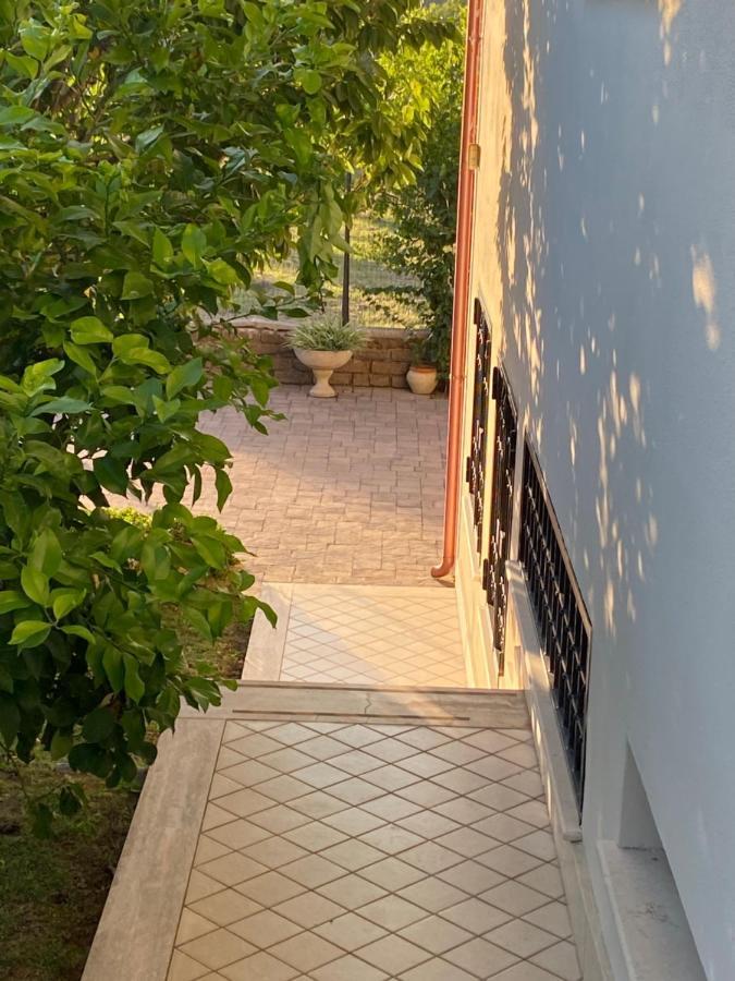 Alloggio Turistico Villa Camelia Lavinio Анцио Екстериор снимка
